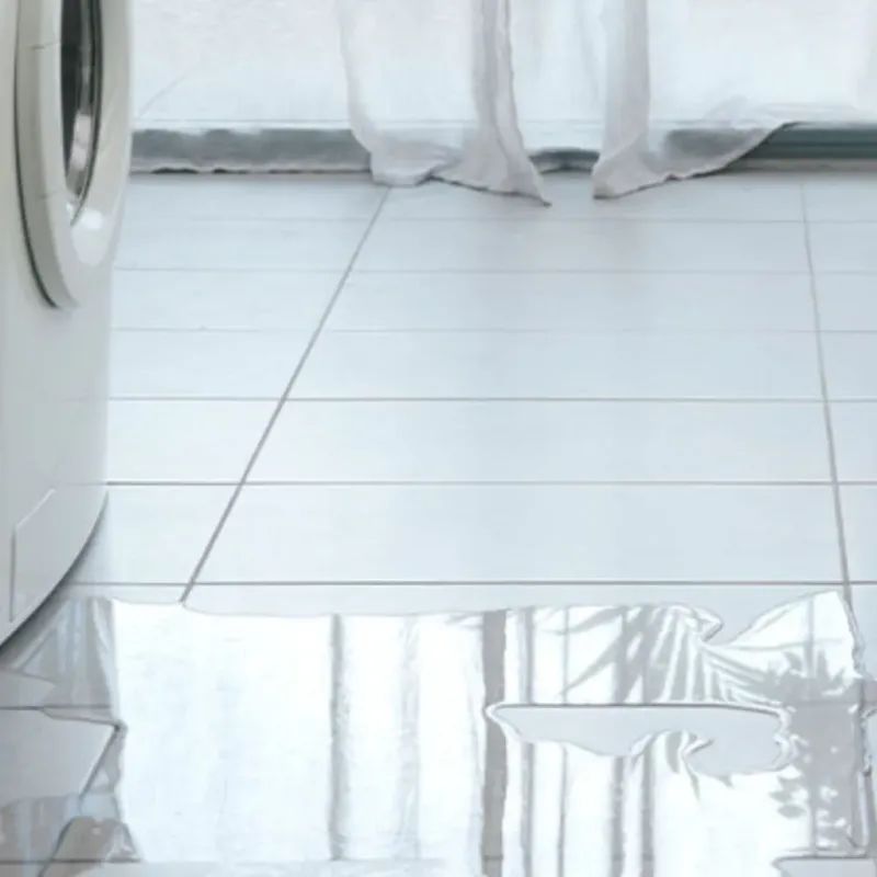 Appliance Leak Cleanup in Elizabethtown, NY