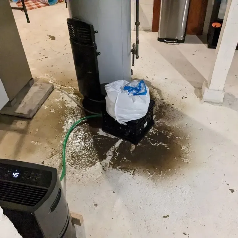 Sewage Backup Cleanup Service in Elizabethtown, NY